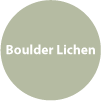 Boulder-Lichen.png