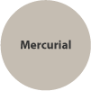 Mercurial.png