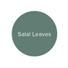 Salal-leaves.png Salal-leaves.png