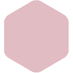 BUDAPEST Pink